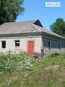 Центральна вулиця, Великий Кунинець, вул. Центральна, площа 167 кв. м • ID 32227356