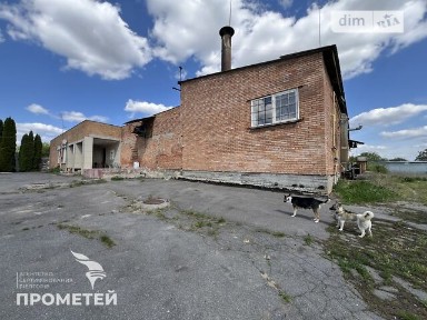 Польовий провулок, Никифорівці, пров. Польовий, площа 1500 кв. м • ID 31465493
