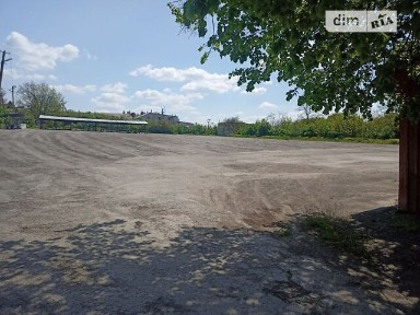 Центральна вулиця, Зіньків, вул. Центральна 14, площа 385 кв. м • ID 26175717