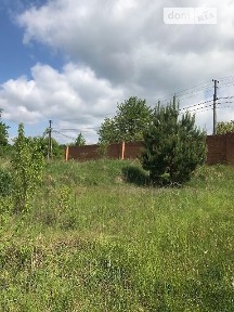 Продаж спеціального приміщення на вул. Данила Нечая 4, площа 260 кв. м • ID 23467126