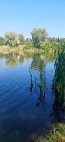 Проців Продаж дачі 6 соток поруч Озеро