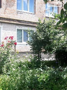 вулиця Антонова Олега, район Замостянський, Вінниця, вул. Антонова Олега • ID 34433759