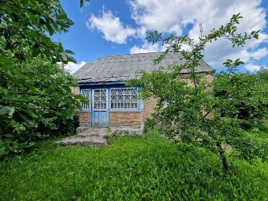 Київська область, Бабинці