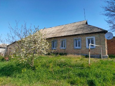 Продаж частини будинку ділянка 25 соток с. Дружня вул. Центральна