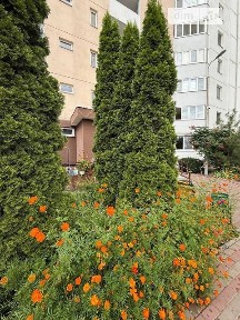 Продаж 1к квартири 43.4 кв. м на вул. Урлівська 38 • ID 34664406