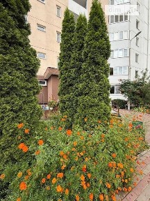 Урлівська вулиця, 38, мікрорайон Позняки, район Дарницький, Київ, вул. Урлівська 38 34664406