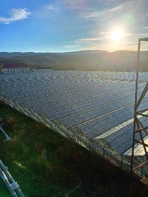 Продам Тепличний Комбінат в Івано-Франківській області