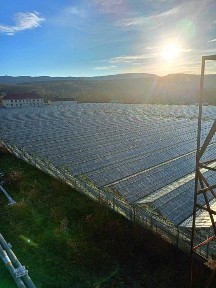 Продам Тепличний Комбінат в Івано-Франківській області
