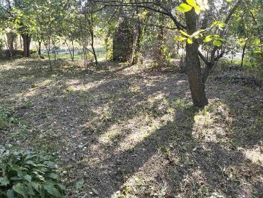 Чернігівська область, Чернігів