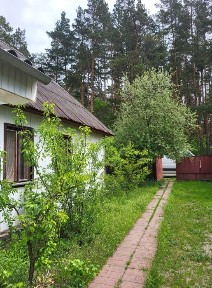 Київська область, Кодра