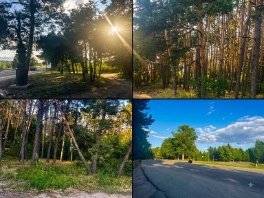 Київська область, Бобриця