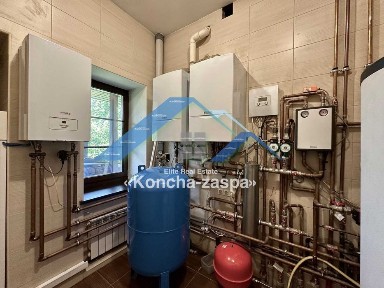 Київська область, Козин