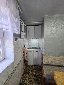 Продаж великого будинку з садом, Верхня Хортиця