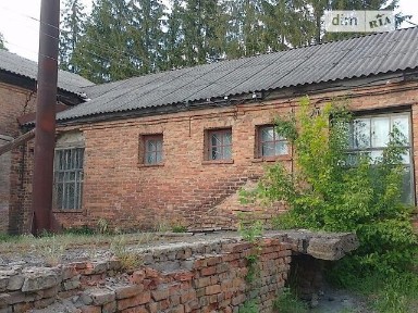 Здається спеціальне приміщення на Шкільна 5, площа 20.5 кв. м • ID 34611781