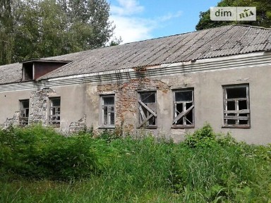 Здається спеціальне приміщення на Петровського 9, площа 16.6 кв. м • ID 34611775