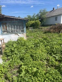 Рівненська область, Гоща
