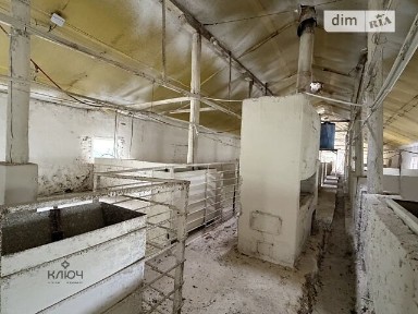 Продаж спеціального приміщення на Нова лінія 76, площа 300 кв. м • ID 34549216