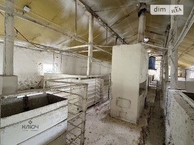 Продаж спеціального приміщення на Нова лінія 76, площа 300 кв. м • ID 34549216