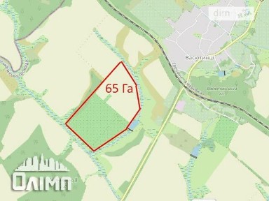 урочище Дари Поділля, Васютинці, площа 467.8 кв. м • ID 33964094