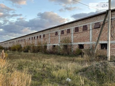 Центральна вулиця, Товстеньке, вул. Центральна, площа 19300 кв. м • ID 33673897