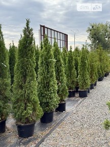 Продаж спеціального приміщення на вул. Польова, площа 2500 кв. м • ID 33513901