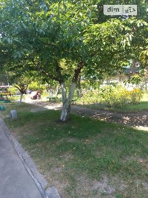 Військове містечко 161 вулиця, район Деснянський, Київ, метро Лісова, вул. Військове містечко 161 • ID 34604349