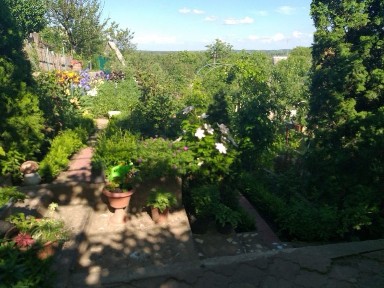 Київська область, Шкарівка
