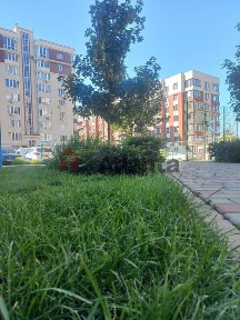 Одеська область, Крижанівка