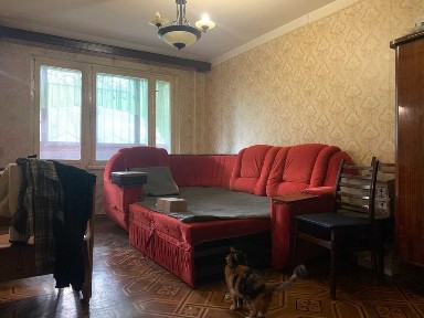Трехкомнатная квартира, 2 этаж, газ, ул. Палия, программы