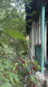 Полтавська область, Полтава