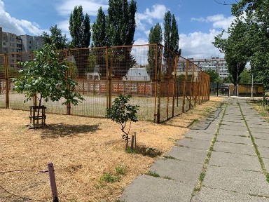 Київська область, Київ, Оболонський