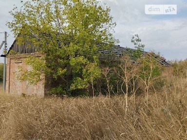 Здається спеціальне приміщення на Шевченка 18, площа 34 кв. м • ID 34550126