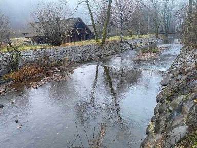 Комплекс вікових зрубів на березі річки Визниця в 20 км від Мукачево