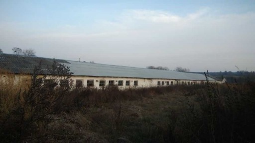 Київська область, Перегонівка