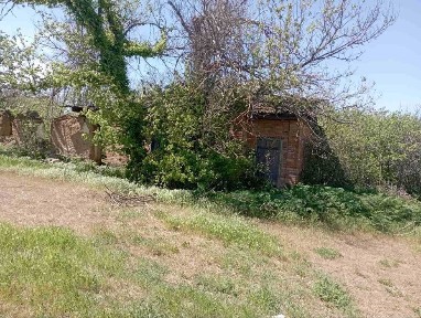 Кіровоградська область, Новогригорівка Перша