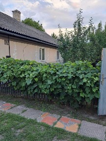 Продаж будинку в Опарипси