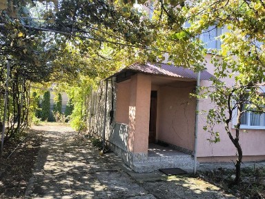 Закарпатська область, Берегове