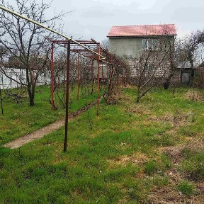 Одеська область, Світле