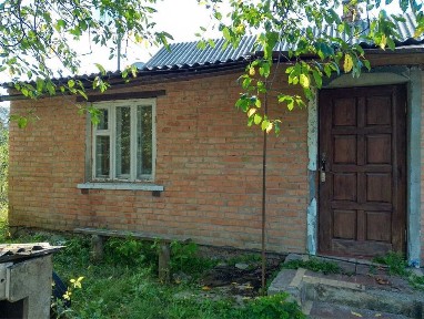 Продам будинок з 10 сотками землі, Борова, від власника!
