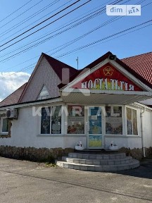 Привокзальна вулиця, Бородянка, вул. Привокзальна, площа 41.8 кв. м • ID 34673855