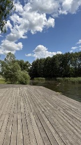 Київська область, Шевченкове