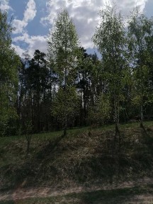 Київська обл., Таращанський район, с. Чернин, Попівка