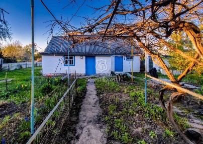 Київська обл., Бориспільський район, с. Іванків, Піщана, 19а