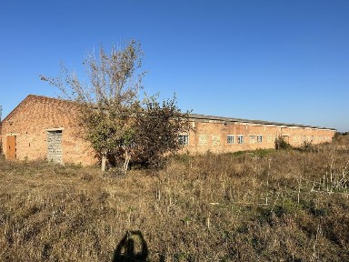 Вінницька область, Дашів