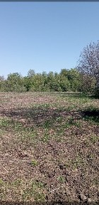 Продаж дачі 78 м², вул. Мира
