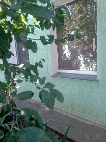 Миколаївська область, Миколаїв, Центральний