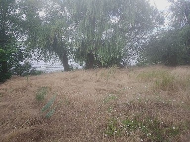 Дніпропетровська область, Діброва