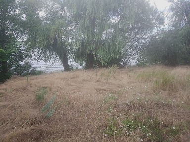 Дніпропетровська область, Діброва