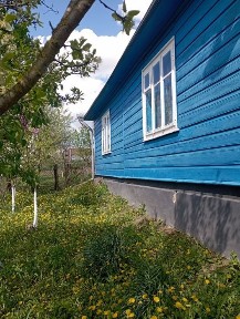 Будинок з надвірними спорудами