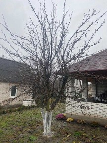 Продається дача с. Вільнокурянове Запорізький район